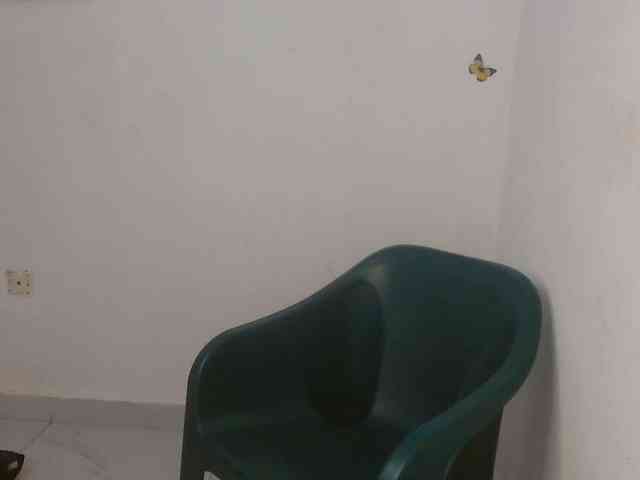 Sweet-fariha webcam