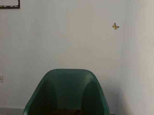 Sweet-fariha webcam