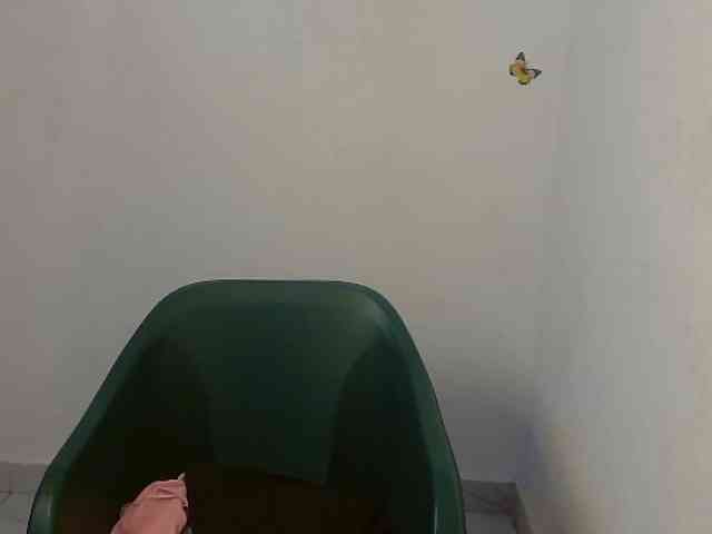Sweet-fariha webcam