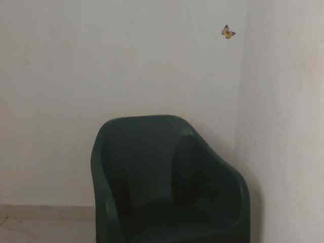 Sweet-fariha webcam