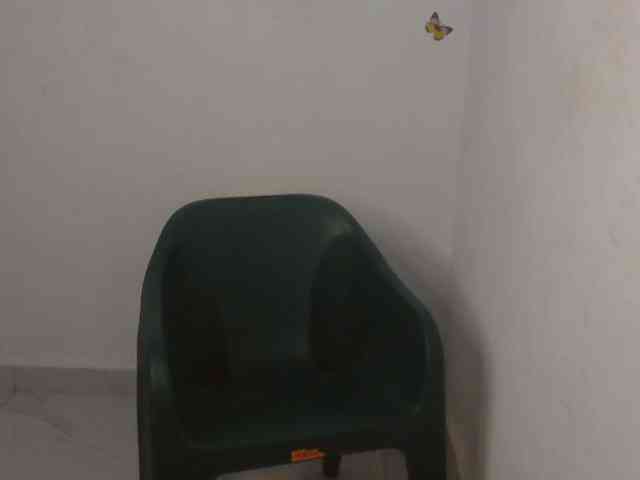 Sweet-fariha webcam