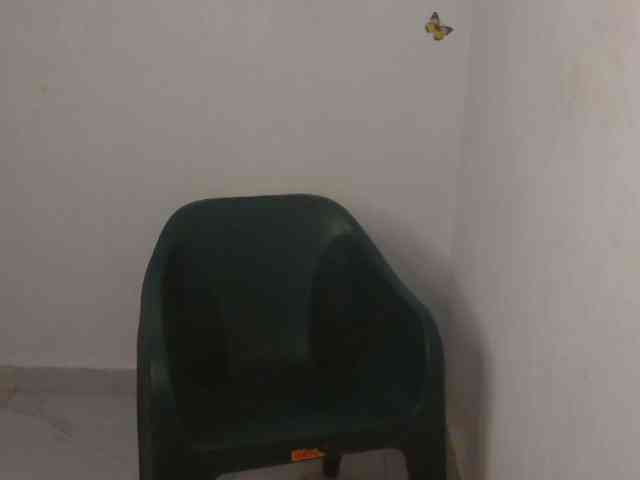 Sweet-fariha webcam