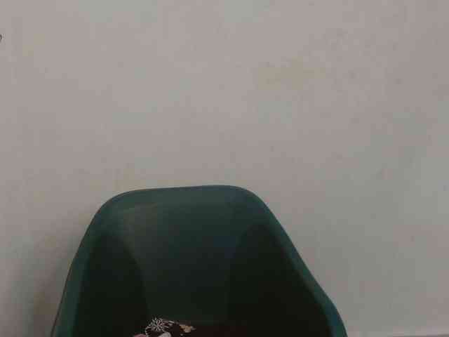 Sweet-fariha