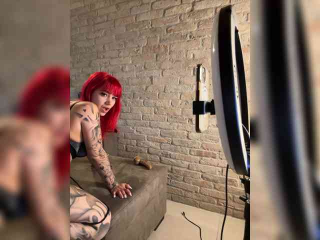 Model: Dollyred