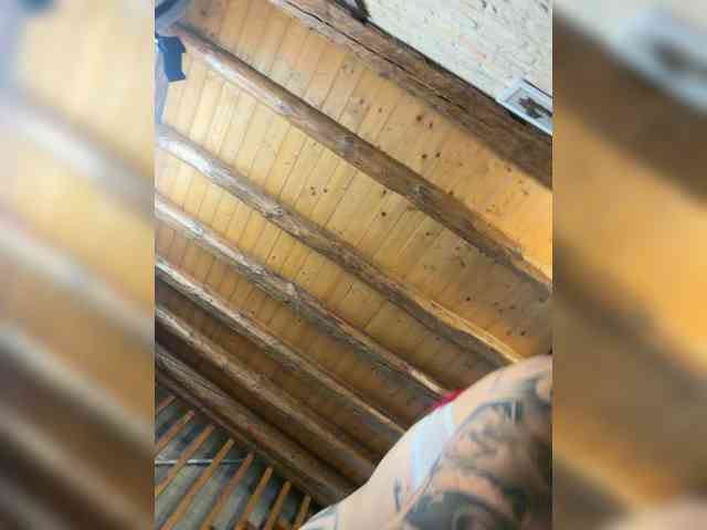 Dollyred's cam show statistics and live stream