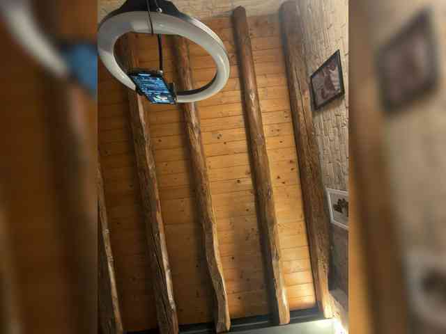Dollyred