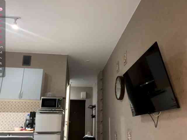 AsiaMinerva webcam