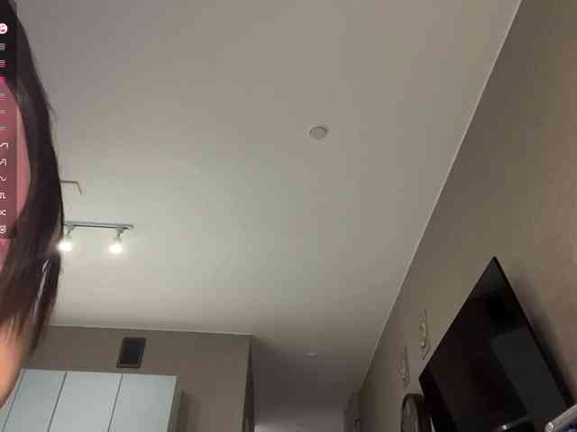 AsiaMinerva webcam