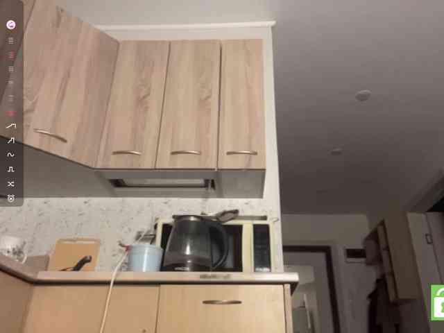 AsiaMinerva webcam