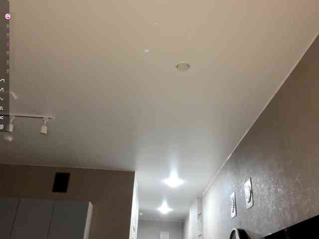 AsiaMinerva webcam