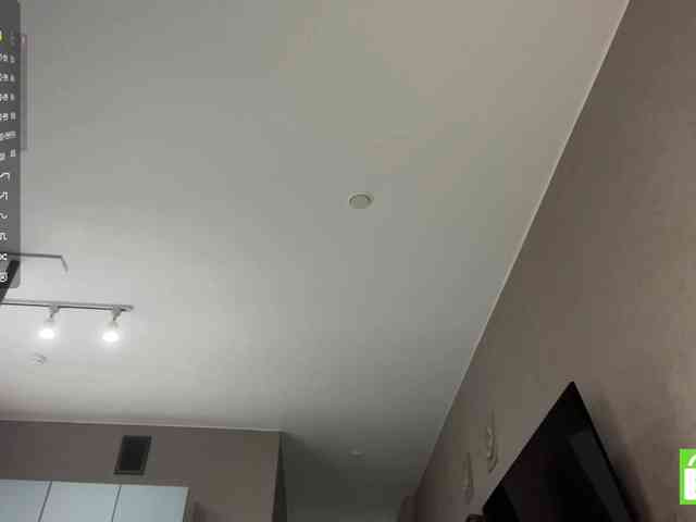 AsiaMinerva webcam