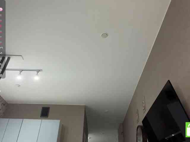 AsiaMinerva webcam