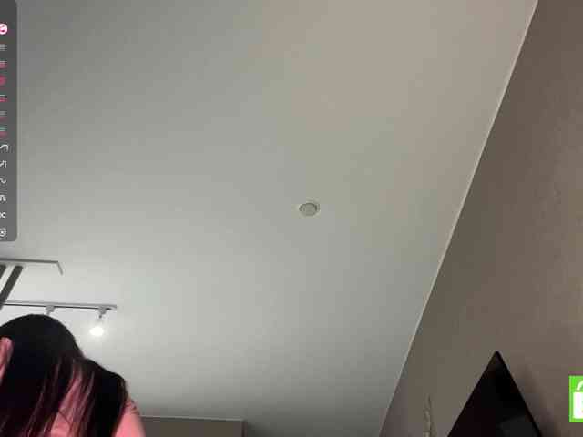 AsiaMinerva webcam