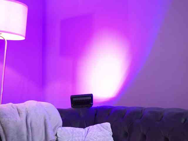 SpicyLeila webcam
