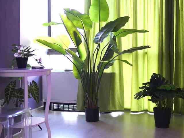 SpicyLeila