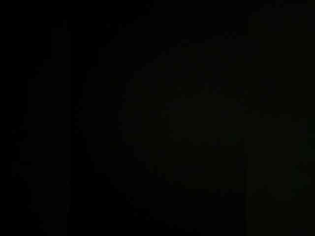 Bagiraa webcam