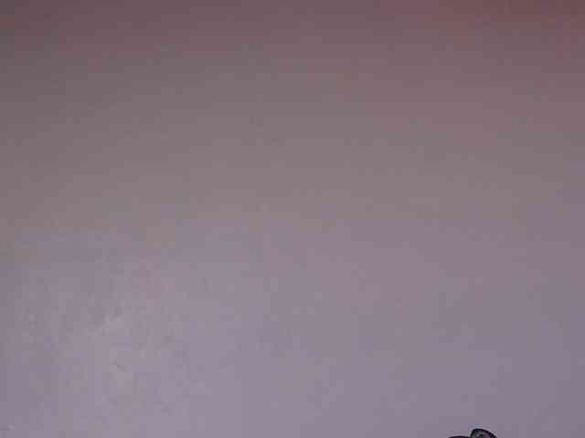 naughtygirll webcam