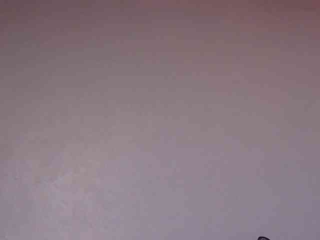 naughtygirll webcam