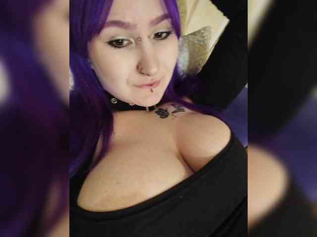 Model: Darcy-666