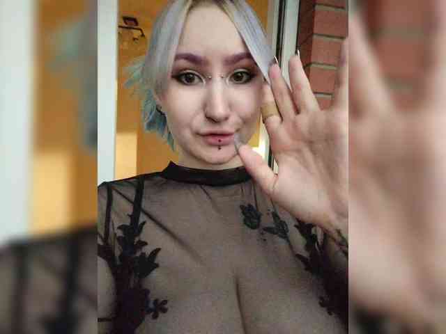 Модель: Darcy-666
