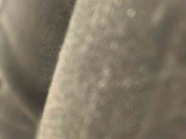 Horny026a Horny026a