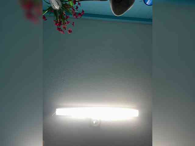 Milfonvacation webcam