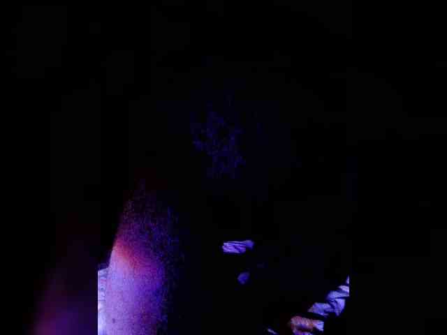 Bosssvk webcam