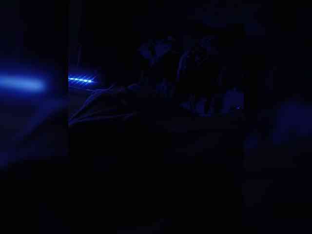 Bosssvk webcam