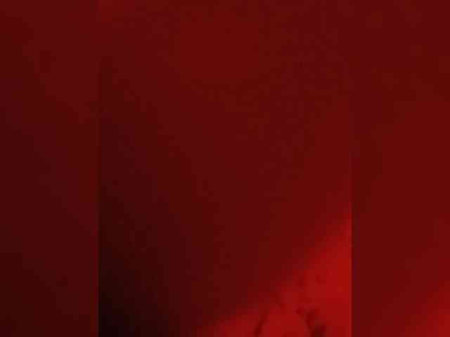 Bosssvk webcam