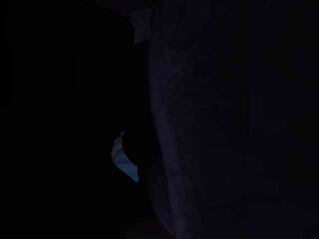 Bosssvk webcam