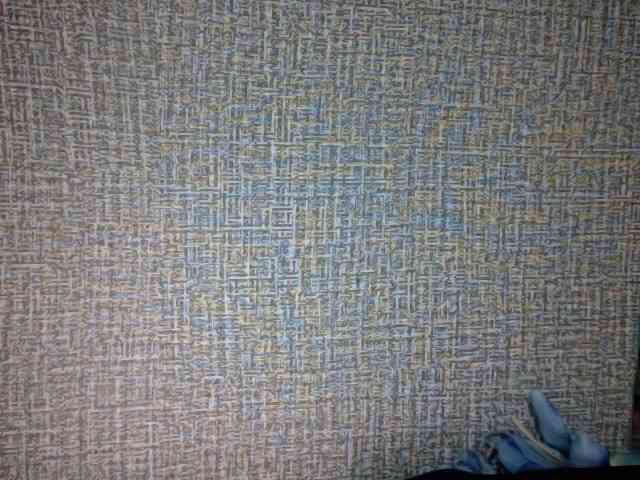 Lynny-1 webcam