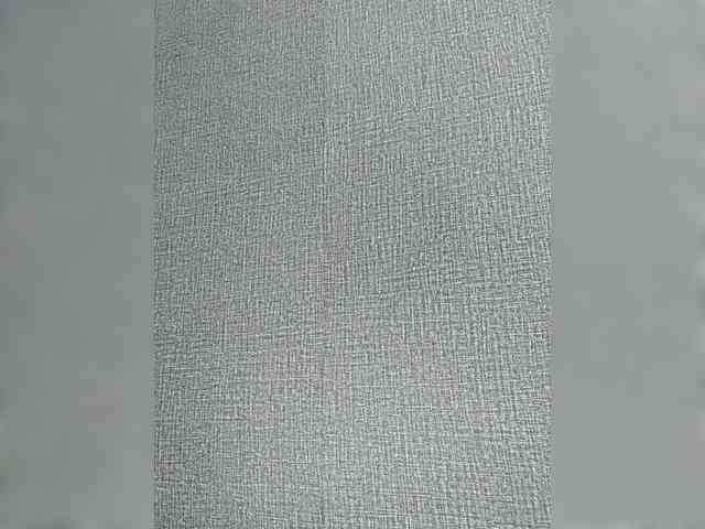 Lynny-1 webcam