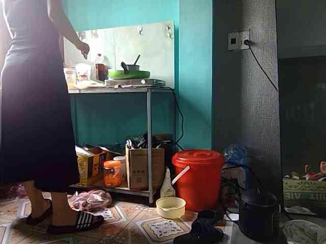Lynny-1 webcam