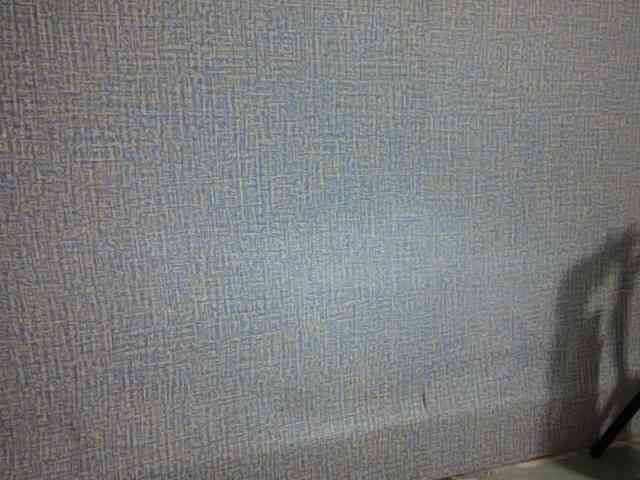 Lynny-1 webcam