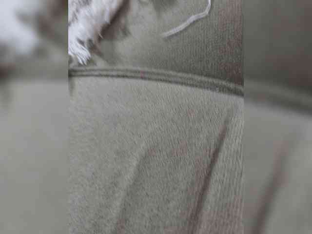 Modelo: Diamantebr