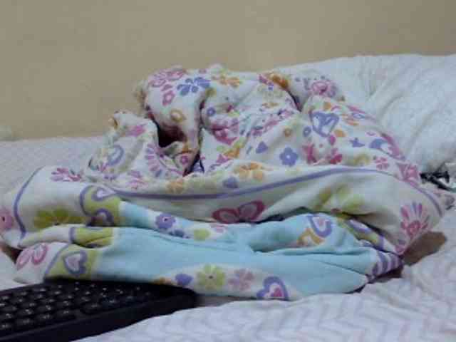 prettysilviaa webcam