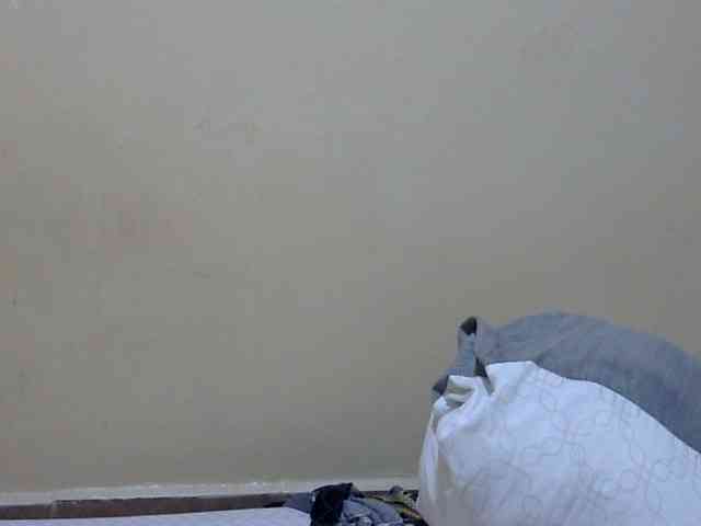 prettysilviaa webcam