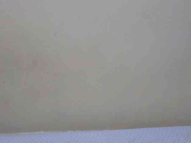 prettysilviaa webcam