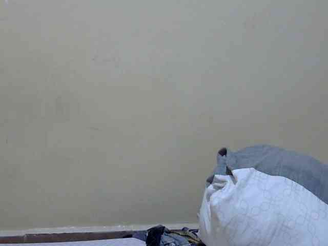 prettysilviaa webcam