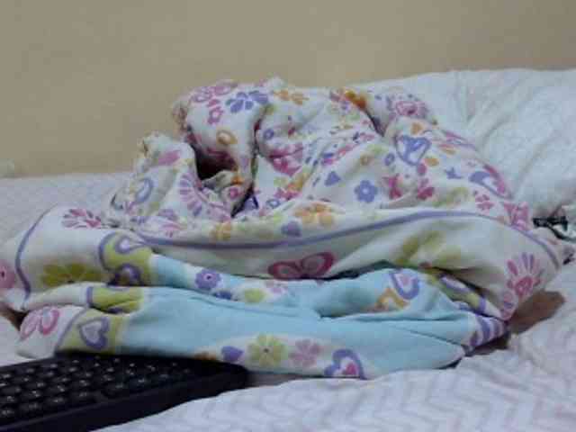 prettysilviaa webcam
