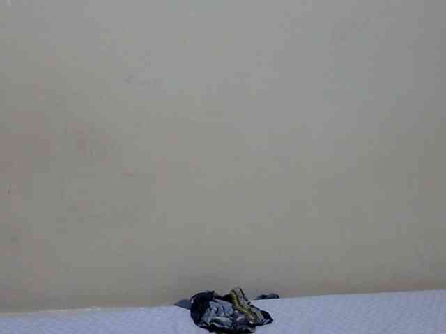 prettysilviaa webcam