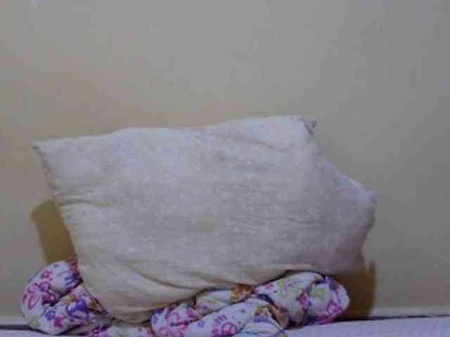 prettysilviaa webcam