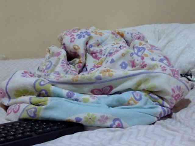 prettysilviaa webcam
