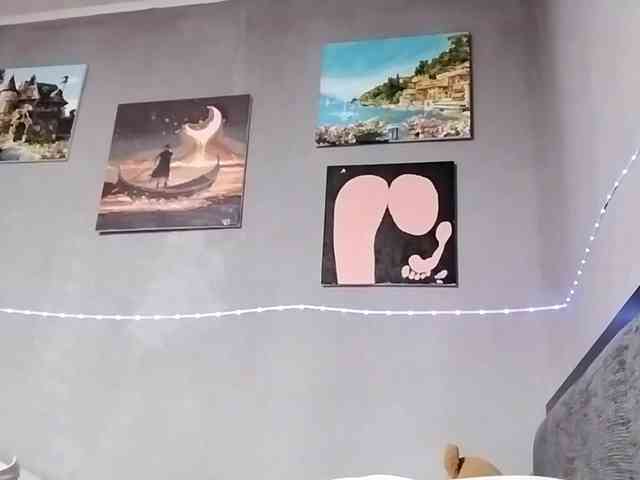 ConceptionLukaskiewicz webcam