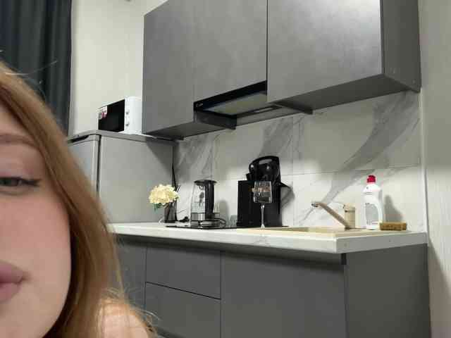 pandadream webcam