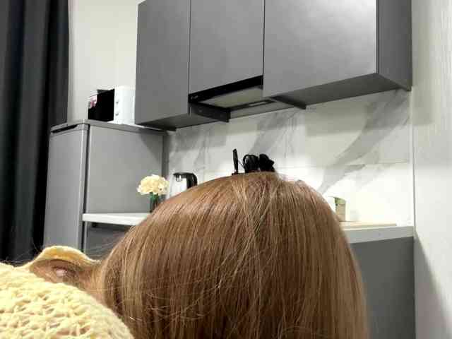 pandadream webcam