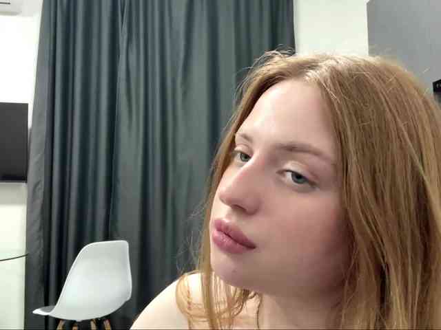 pandadream webcam