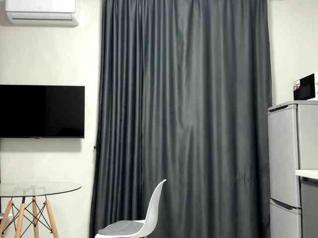 pandadream webcam