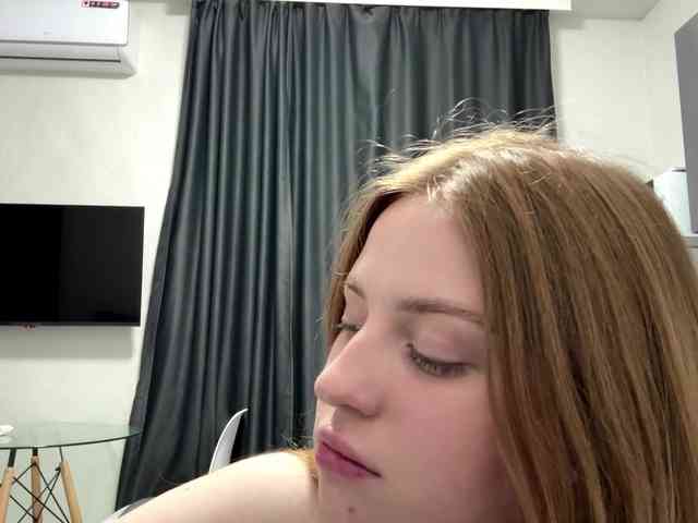 pandadream webcam