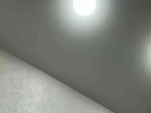 pandadream webcam